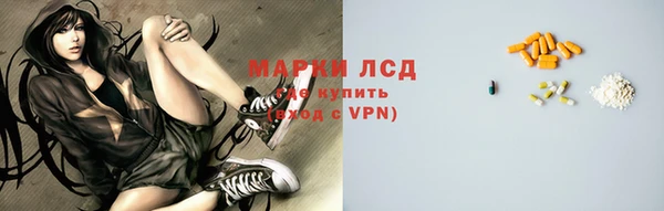 ECSTASY Алзамай