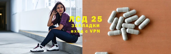 ECSTASY Алзамай