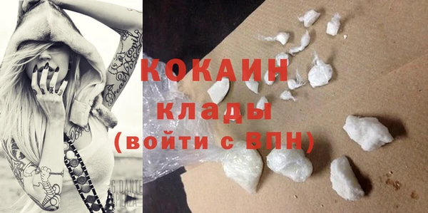 ECSTASY Алзамай