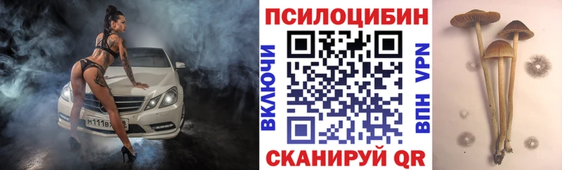 Псилоцибиновые грибы GOLDEN TEACHER  Кувшиново 
